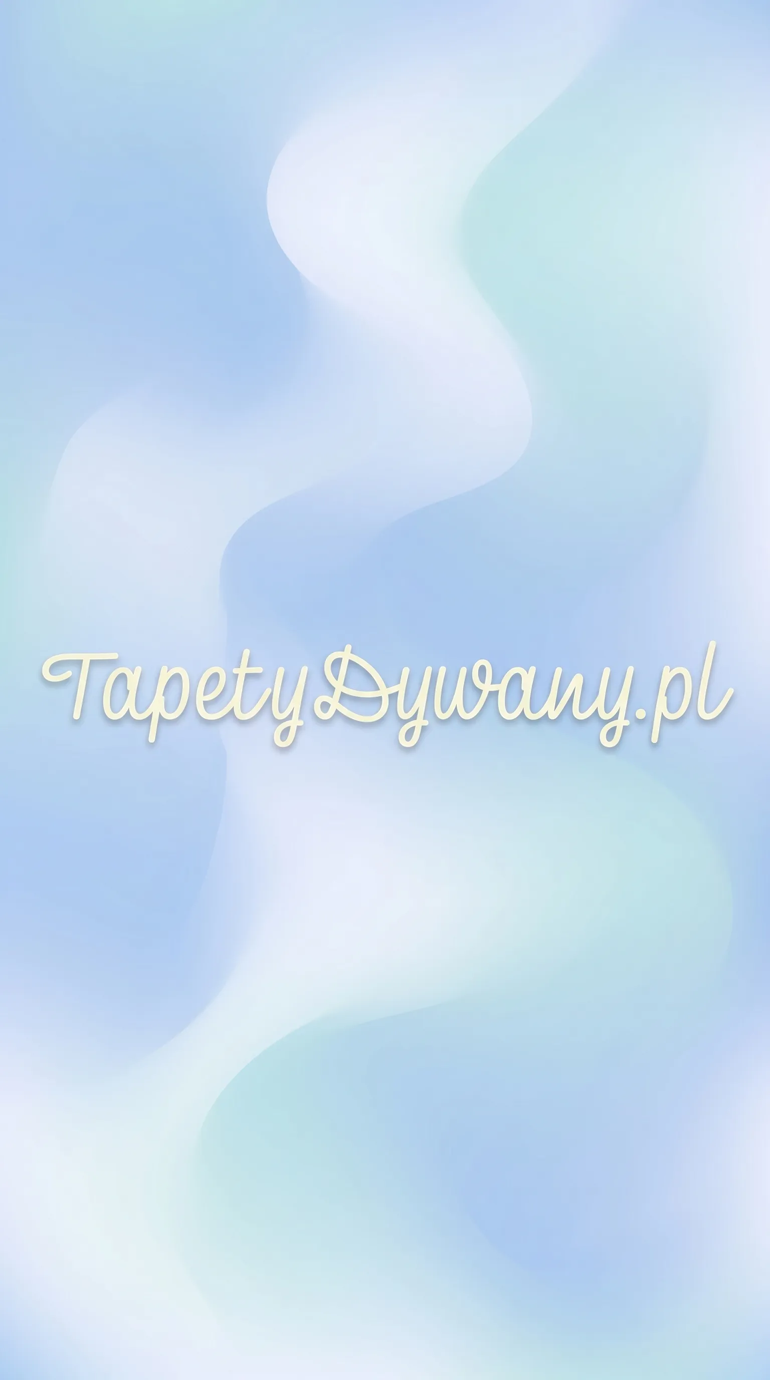 TapetyDywany